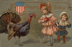 Thanksgiving Greetings Postcard