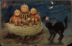 Halloween Postcard Postcard