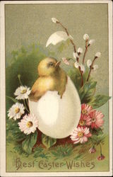 Best Easter Wishes Postcard