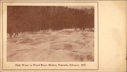 High Water In Wood River, February 1907 Postcard