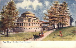 The New York University Postcard Postcard