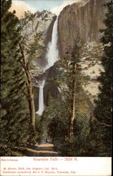 Yosemite Falls - 2624 ft Postcard