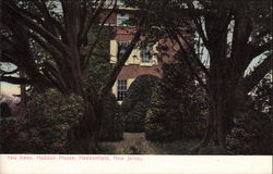 Yew Trees, Haddon House Postcard