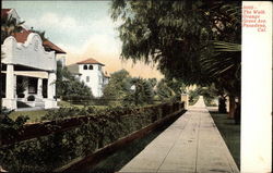 The Walk, Orange Grove Ave Postcard