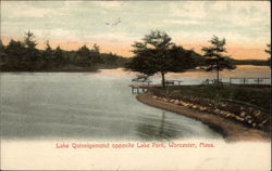 Lake Quinsigamond Opposite Lake Park Postcard