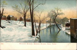 Winter Scene, Bronx RIver New York, NY Postcard Postcard