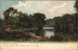 Bronx River, Bronx Park New York, NY Postcard Postcard