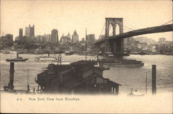 New York View from Brooklyn Postcard Postcard