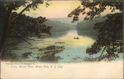 Bronx River, Bronx Park New York, NY Postcard Postcard