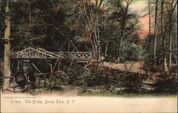 The Bridge, Bronx Park New York, NY Postcard Postcard