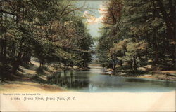 Bronx River, Bronx Park Postcard