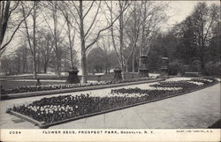 Flower Beds, Prospect Park Postcard