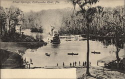 Silver Springs, Ocklawaha River Postcard