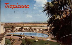 The Tropicana Hotel Postcard