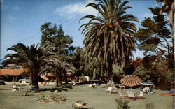 Ranchotel Postcard