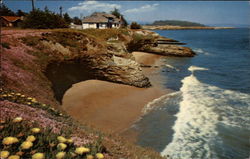 West Cliff Drive in Santa Cruz California Postcard Postcard