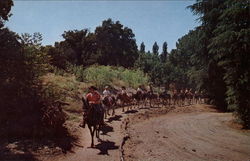 Frontier Village Postcard