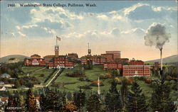 Washington State College Pullman, WA Postcard Postcard