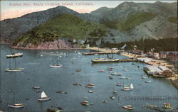 Avalon Bay Santa Catalina Island, CA Postcard Postcard