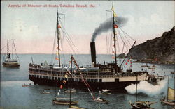 Arrival of Steamer Postcard