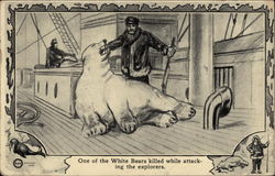 One of the White Bears killed while attacking the explorers Postcard