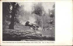 Oxen Hauling Logs on Cuyamaca Mountains Postcard