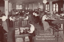 General Offices, Franco-American Hygienic Company Chicago, IL Postcard Postcard