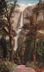 Yosemite Falls Postcard