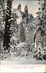 Winter Scene showing Cathedral Spires, 2200 ft Postcard