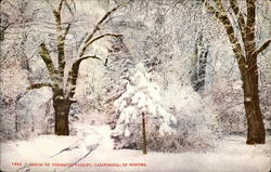 Floor of Yosemite Valley, California, in Winter Yosemite National Park Postcard Postcard