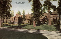 Tahoe Tavern Among the Pines Lake Tahoe, CA Postcard Postcard