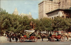 Horse-Drawn Carriages on 59th Street Postcard