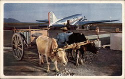 American Airlines Mexico Postcard Postcard