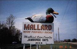 Mallard, We're Friendly Ducks Postcard