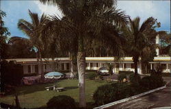 Tropical Palm Court Fort Myers, FL Postcard Postcard