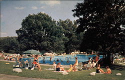 Mountain Lake House - Swimming Pool Postcard