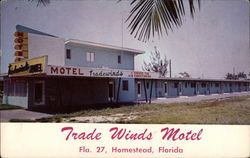 Trade Winds Motel Homestead, FL Postcard Postcard