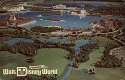 Walt Disney World Orlando, FL Postcard Postcard