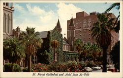 St. Mary's Cathedral and HOtel Jean La Fitte Postcard