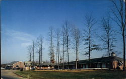 Butler's Hillcrest Restaurant & Motel Postcard