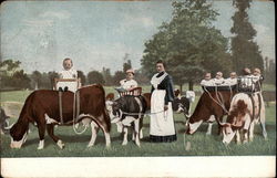 Babies Riding on Cows Cows & Cattle Postcard Postcard