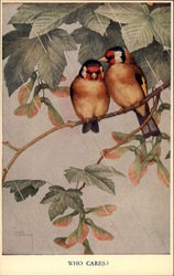 Two Small Birds on a Branch Postcard Postcard