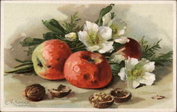 Flowers, Nuts and Apples Still Life Postcard Postcard