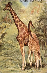 Giraffe and Young in Forest Scene Tuck's Oilette Series Postcard Postcard