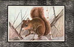 Fox Squirrel Postcard