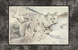 Arctic Fox Postcard