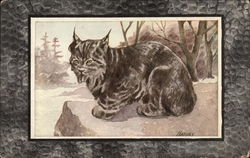 Wild Cat (Lynx Ruffus) Postcard