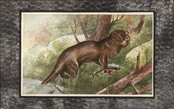 Otter Postcard