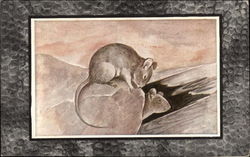 Two Mice on a Rock Postcard