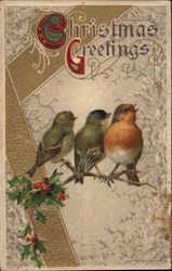 Christmas Greetings - Robin Postcard Postcard